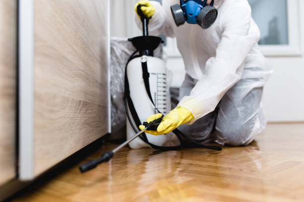 Best Cockroach Control Services  in Oconto Falls, WI