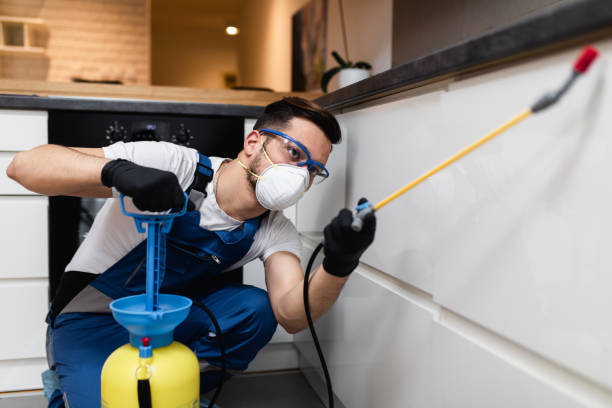 Best Termite Control Services  in Oconto Falls, WI