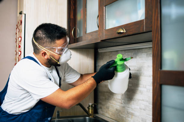 Best Commercial Pest Control Services  in Oconto Falls, WI