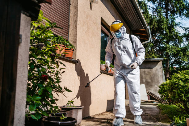 Best Flea Control Services  in Oconto Falls, WI