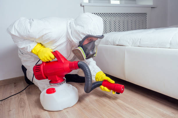 Best Affordable Pest Control Services  in Oconto Falls, WI