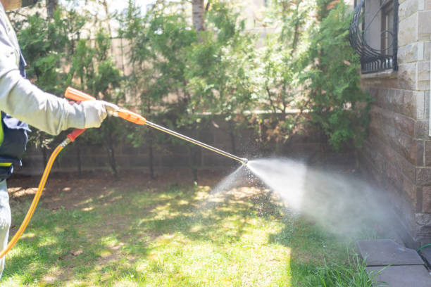 Best Cockroach Control Services  in Oconto Falls, WI