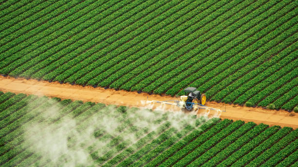 Best Pest Prevention Services  in Oconto Falls, WI