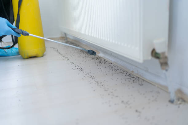 Best Pest Control for Businesses  in Oconto Falls, WI