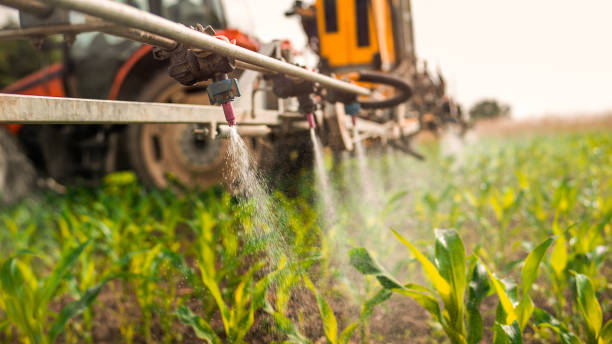 Best Pest Removal Services  in Oconto Falls, WI